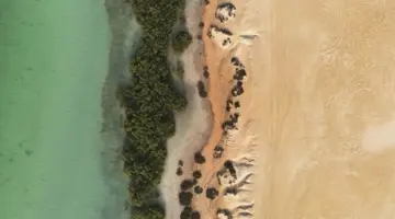 الطبيعة.. هويّة وطن – الاتحاد للأخبار